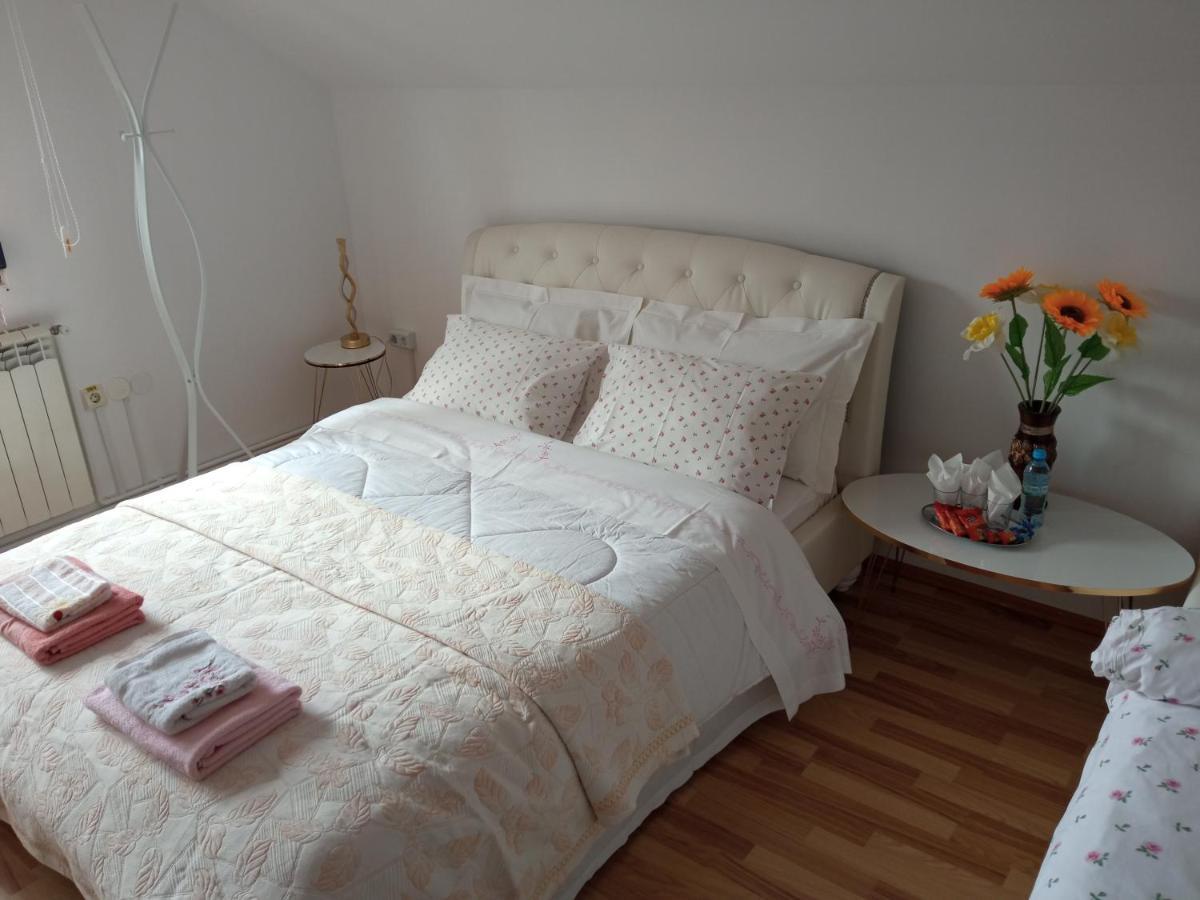 Casa Irina Villa Piatra Neamţ Dış mekan fotoğraf