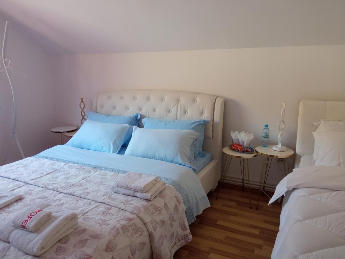 Casa Irina Villa Piatra Neamţ Dış mekan fotoğraf