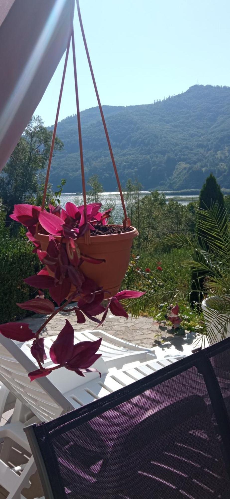 Casa Irina Villa Piatra Neamţ Dış mekan fotoğraf