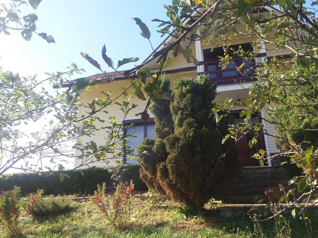 Casa Irina Villa Piatra Neamţ Dış mekan fotoğraf