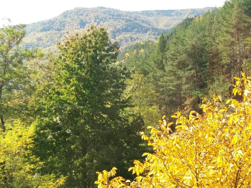 Casa Irina Villa Piatra Neamţ Dış mekan fotoğraf