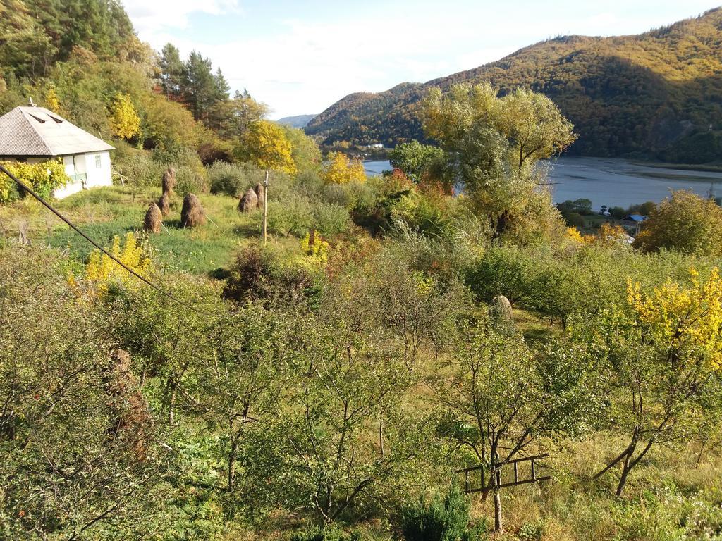Casa Irina Villa Piatra Neamţ Dış mekan fotoğraf