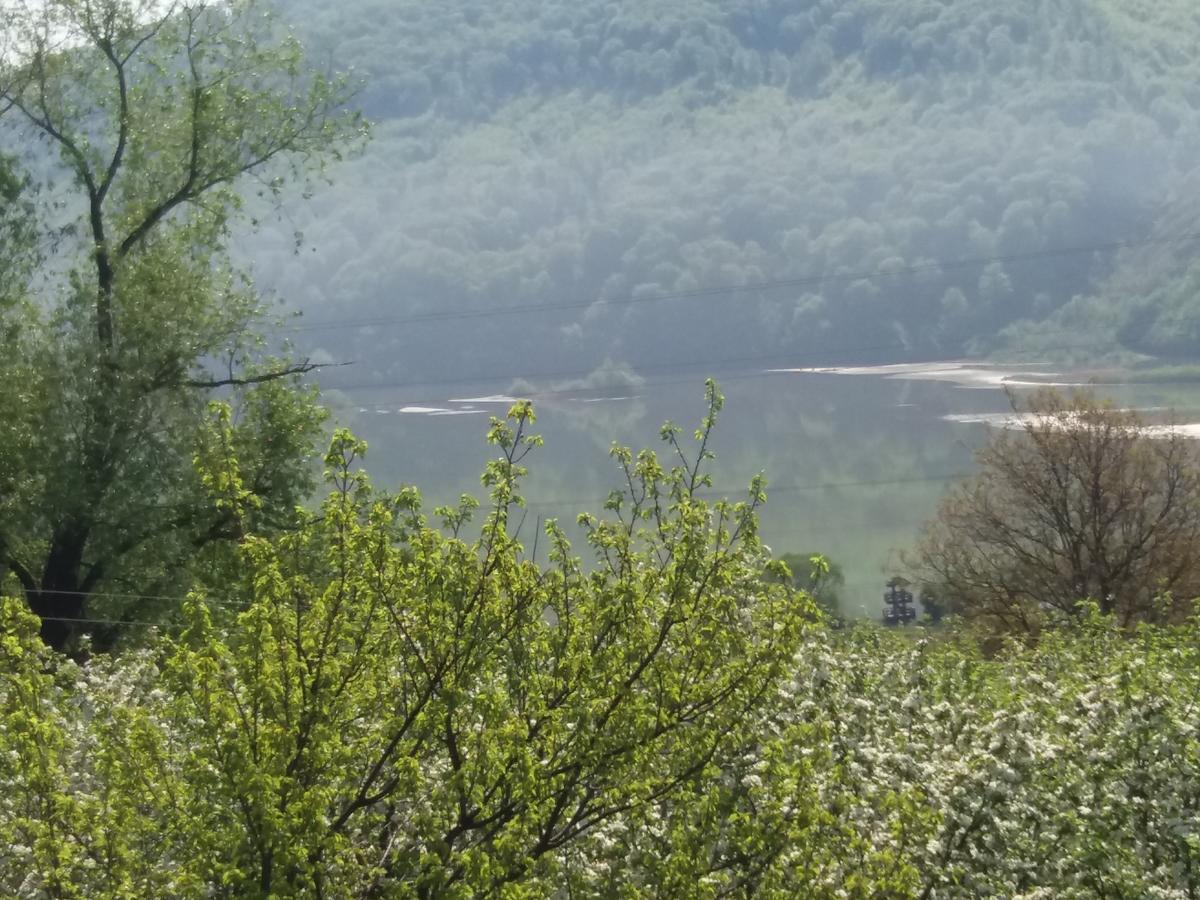 Casa Irina Villa Piatra Neamţ Dış mekan fotoğraf